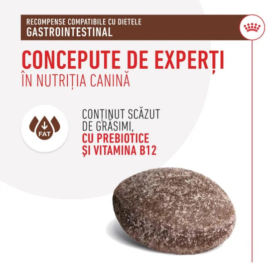 Royal Canin Gastrointestinal Snacks – Recompense Funcționale pentru Câini cu Probleme Digestive, 230 g